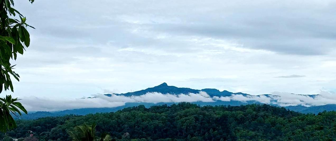 Jily Stay Kandy Exterior foto